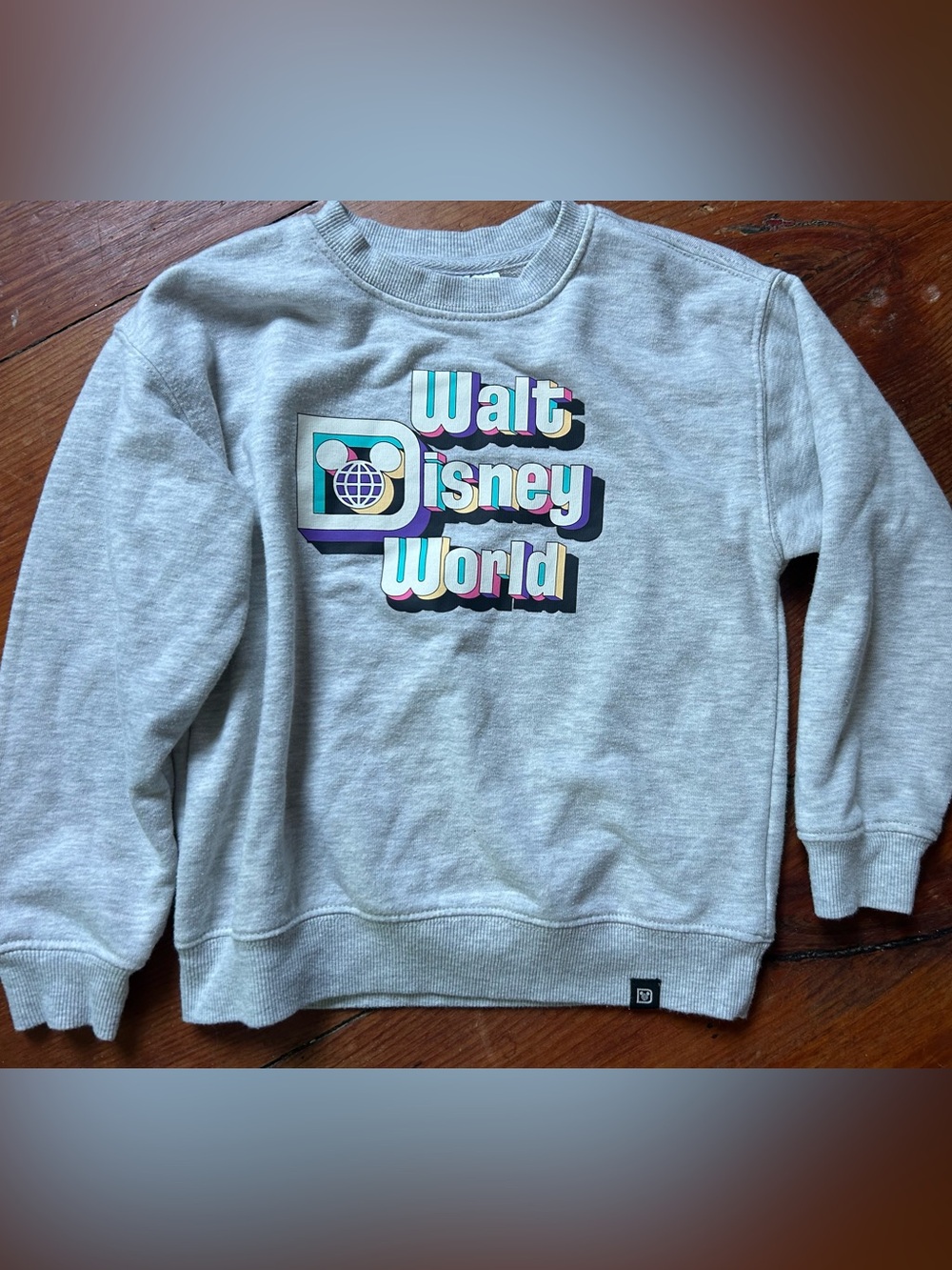 Disney Gray Sweatshirt with Retro Walt Disney World Logo